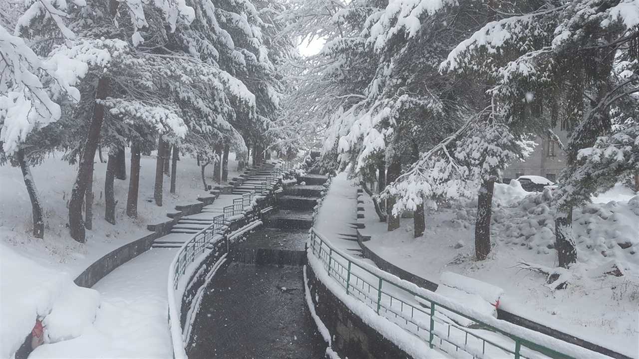 تور زمستانه جرموک